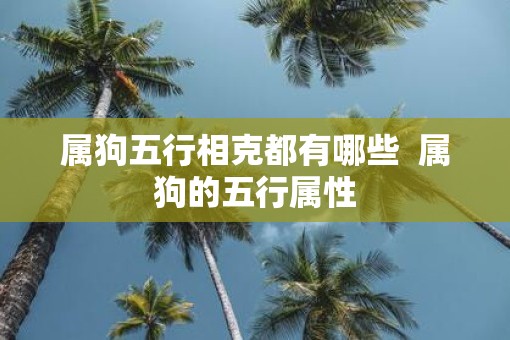 属狗五行相克都有哪些  属狗的五行属性