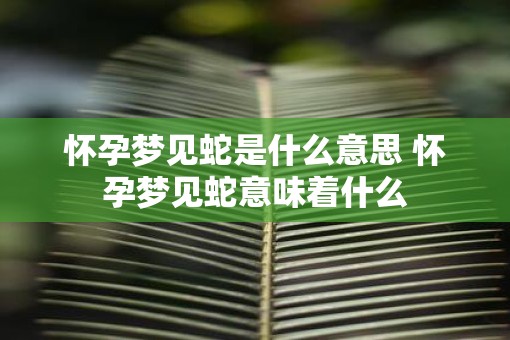 怀孕梦见蛇是什么意思 怀孕梦见蛇意味着什么