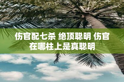 伤官配七杀 绝顶聪明 伤官在哪柱上是真聪明