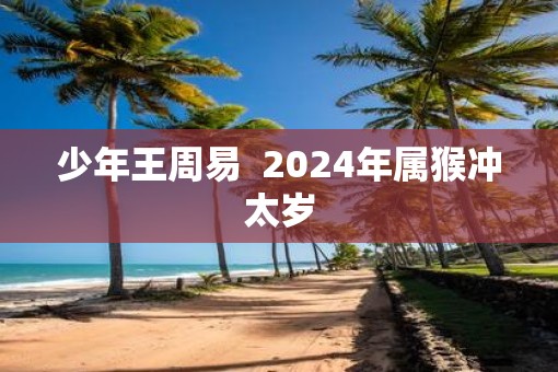 少年王周易  2025年属猴冲太岁
