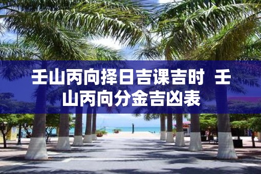 壬山丙向择日吉课吉时  壬山丙向分金吉凶表