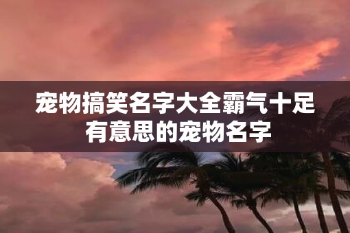宠物搞笑名字大全霸气十足 有意思的宠物名字