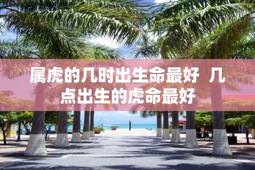 属虎的几时出生命最好  几点出生的虎命最好