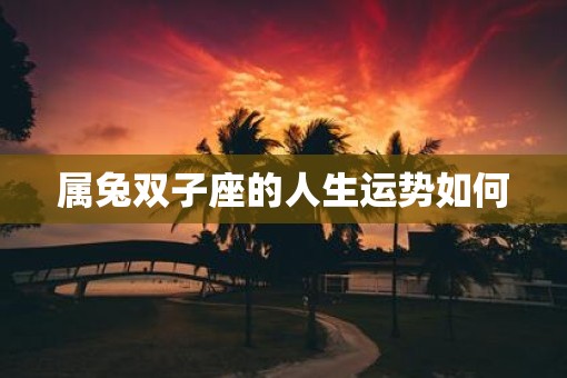 属兔双子座的人生运势如何