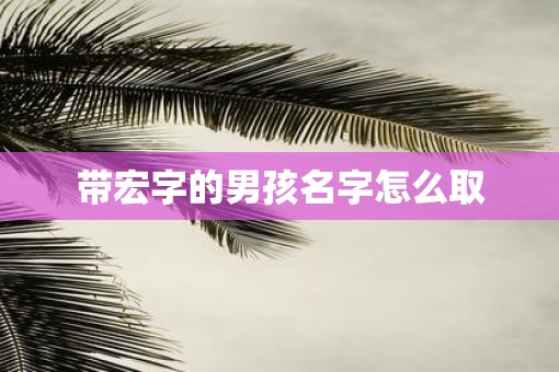 带宏字的男孩名字怎么取