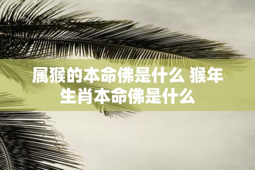 属猴的本命佛是什么 猴年生肖本命佛是什么