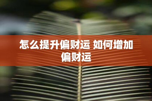 怎么提升偏财运 如何增加偏财运 怎么提升偏财运 如何增加偏财运