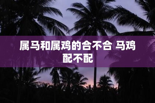 属马和属鸡的合不合 马鸡配不配