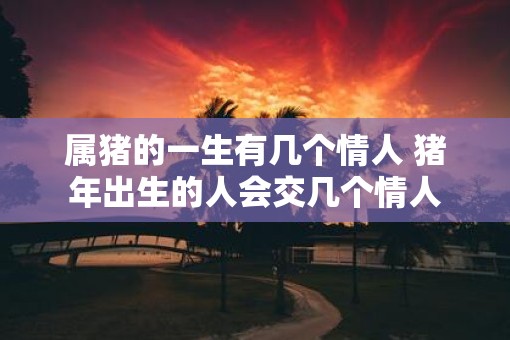 属猪的一生有几个情人 猪年出生的人会交几个情人