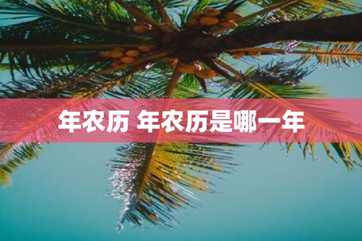年农历 年农历是哪一年