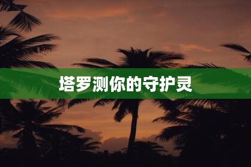 塔罗测你的守护灵