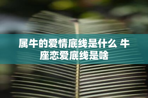 属牛的爱情底线是什么 牛座恋爱底线是啥