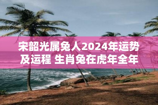 宋韶光属兔人2024年运势及运程 生肖兔在虎年全年每月运势如何