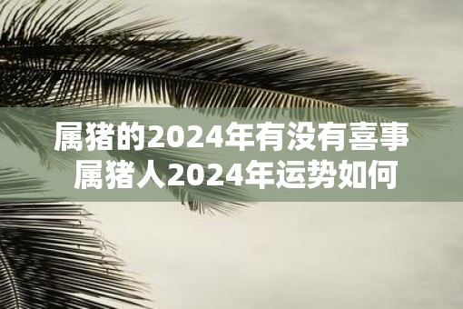 属猪的2024年有没有喜事 属猪人2024年运势如何