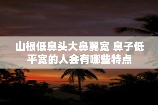山根低鼻头大鼻翼宽 鼻子低平宽的人会有哪些特点
