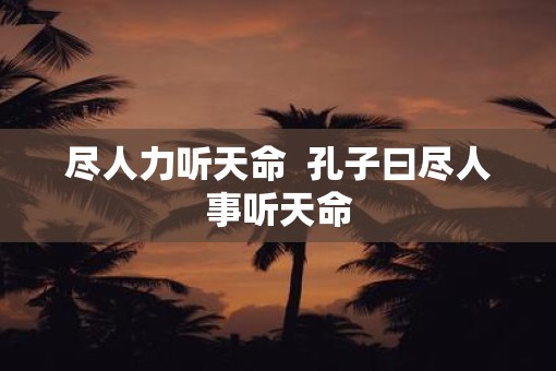 尽人力听天命  孔子曰尽人事听天命