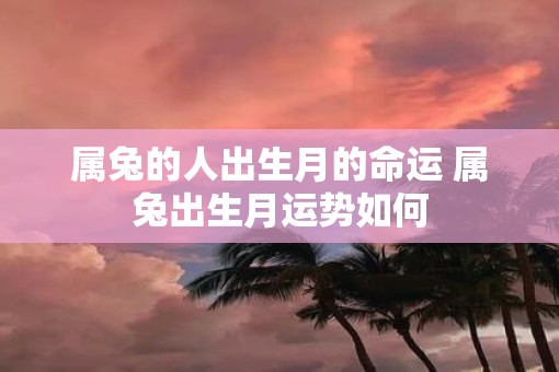 属兔的人出生月的命运 属兔出生月运势如何