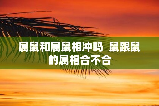 属鼠和属鼠相冲吗  鼠跟鼠的属相合不合