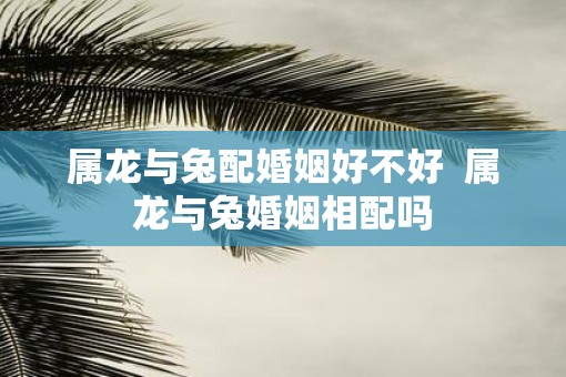 属龙与兔配婚姻好不好  属龙与兔婚姻相配吗