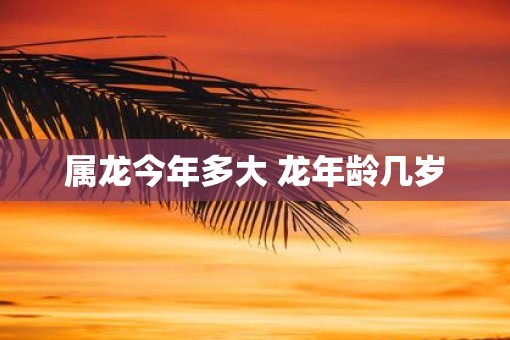 属龙今年多大 蛇年龄几岁