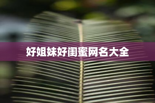 好姐妹好闺蜜网名大全
