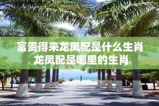 富贵得来龙凤配是什么生肖 龙凤配是哪里的生肖