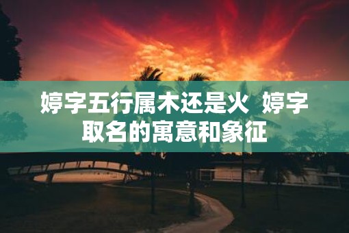 婷字五行属木还是火  婷字取名的寓意和象征