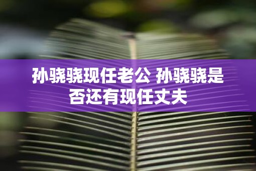 孙骁骁现任老公 孙骁骁是否还有现任丈夫