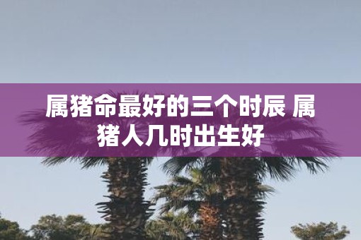 属猪命最好的三个时辰 属猪人几时出生好