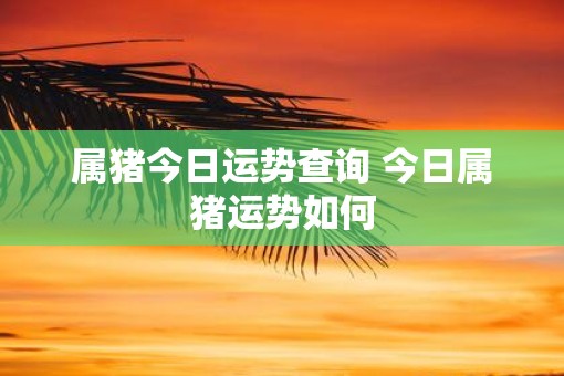 属猪今日运势查询 今日属猪运势如何