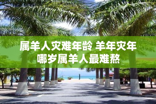 属羊人灾难年龄 羊年灾年哪岁属羊人最难熬