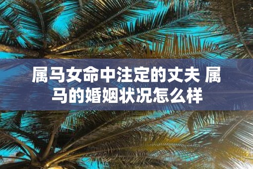 属马女命中注定的丈夫 属马的婚姻状况怎么样