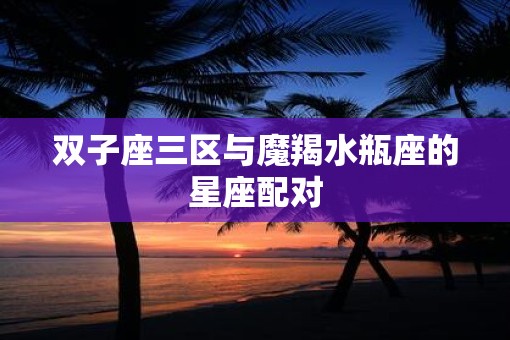 双子座三区与魔羯水瓶座的星座配对