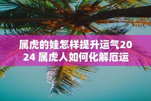 属虎的娃怎样提升运气2025 属虎人如何化解厄运