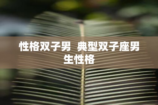 性格双子男  典型双子座男生性格