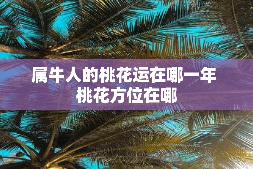 属牛人的桃花运在哪一年 桃花方位在哪