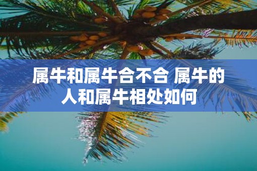 属牛和属牛合不合 属牛的人和属牛相处如何
