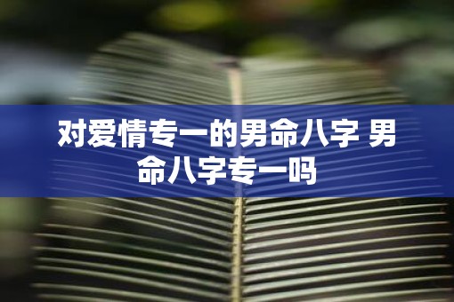 对爱情专一的男命八字 男命八字专一吗
