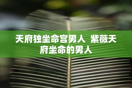 天府独坐命宫男人  紫薇天府坐命的男人