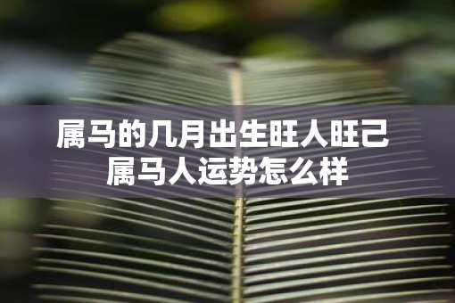 属马的几月出生旺人旺己 属马人运势怎么样