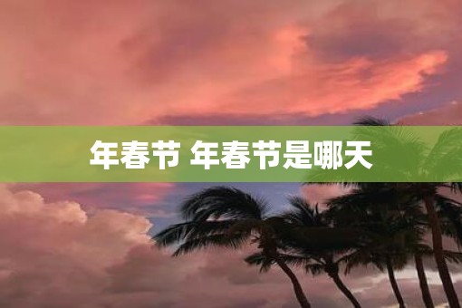 年春节 年春节是哪天