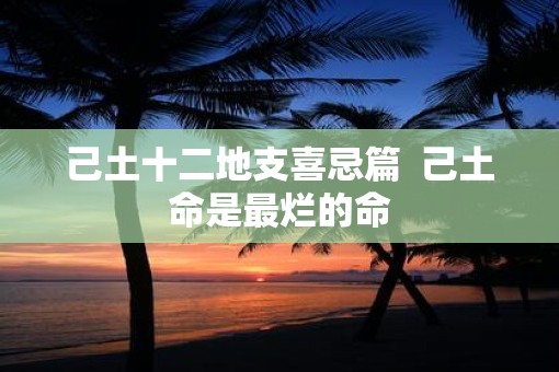 己土十二地支喜忌篇  己土命是最烂的命