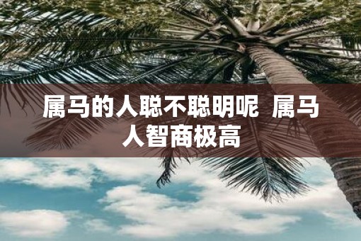 属马的人聪不聪明呢  属马人智商极高