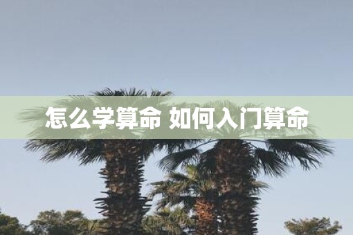 怎么学算命 如何入门算命