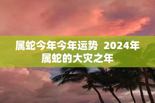 属蛇今年今年运势  2024年属蛇的大灾之年