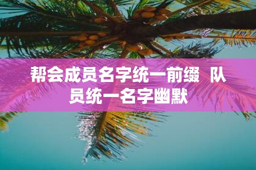 帮会成员名字统一前缀  队员统一名字幽默