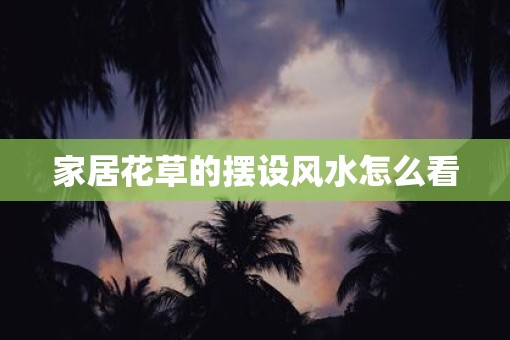 家居花草的摆设风水怎么看
