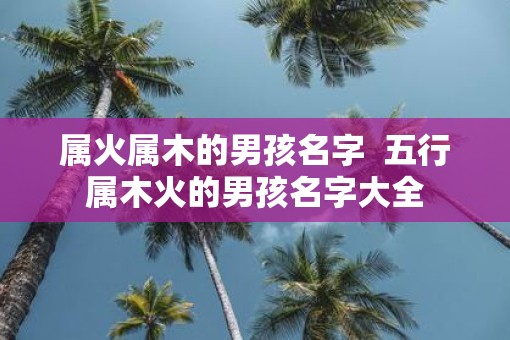 属火属木的男孩名字  五行属木火的男孩名字大全
