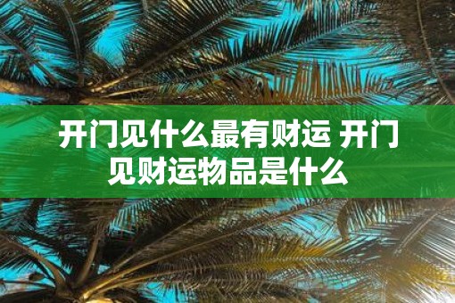 开门见什么最有财运 开门见财运物品是什么
