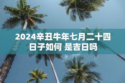 2025辛丑牛年七月二十四日子如何 是吉日吗